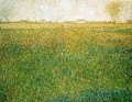 alfalfa san denis 1886